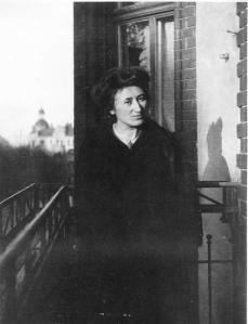 Comrade Rosa Luxemburg in 1910